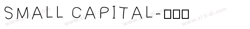 SMALL CAPITAL字体转换